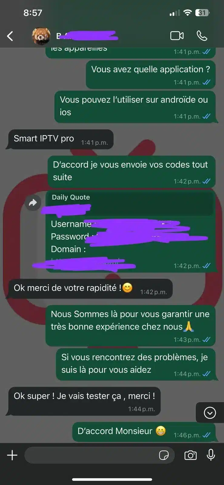 Screenshots van positieve WhatsApp klantbeoordelingen over de iptv nederland service van Flash IPTV.