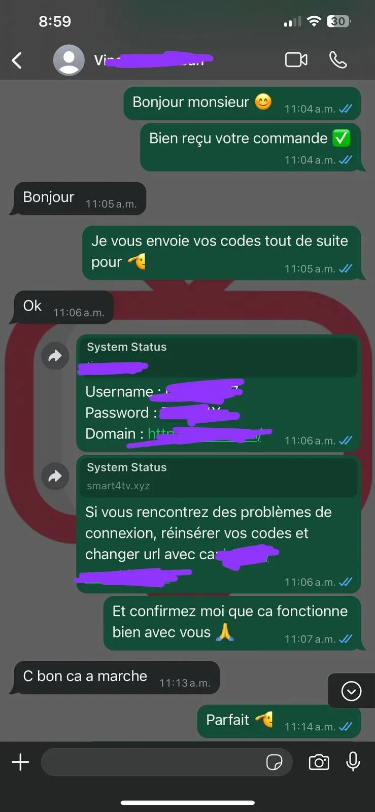 Screenshots van positieve WhatsApp klantbeoordelingen over de iptv nederland service van Flash IPTV.