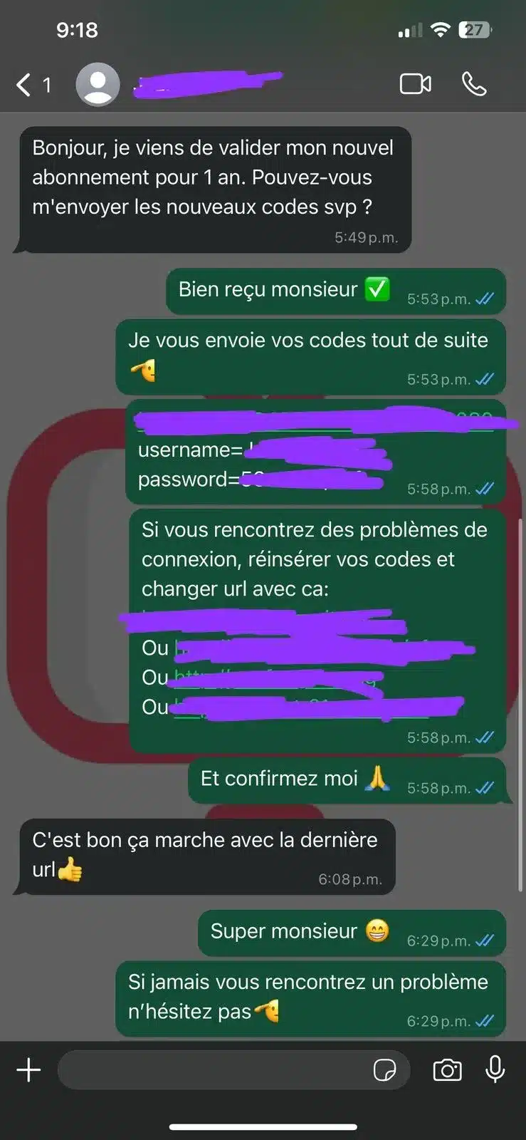 Screenshots van positieve WhatsApp klantbeoordelingen over de iptv nederland service van Flash IPTV.
