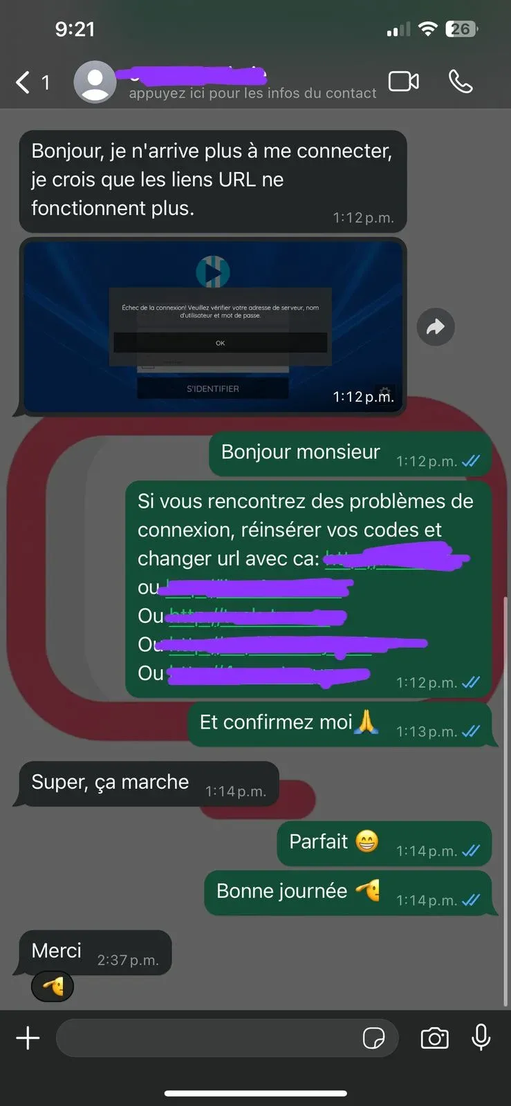 Screenshots van positieve WhatsApp klantbeoordelingen over de iptv nederland service van Flash IPTV.